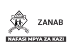 Financial & Administration Assistant at ZANAB 2026