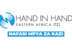Hand in Hand Eastern Africa–Tanzania (HIHEA TZ) Announces Program Accountant Vacancy (Ref. No: HTZ PA-01/2026)