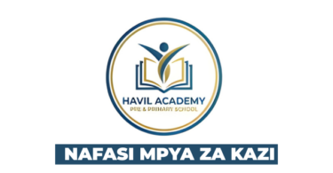 Havil Pre and Primary School (Kigambo) Vacancies 2026 (1)