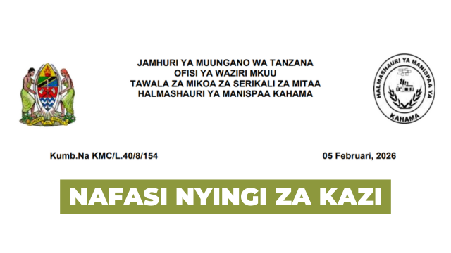 Kahama Municipal Council Announces 3 Driver II Vacancies (TGS B) February 2026