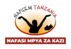 MNCH & Nutrition Regional Officers (3 Positions) at NAFGEM Tanzania February 2026