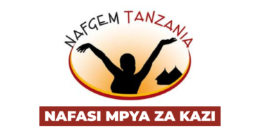 MNCH & Nutrition Regional Officers (3 Positions) at NAFGEM Tanzania February 2026