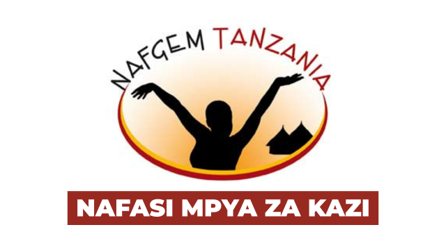 MNCH & Nutrition Regional Officers (3 Positions) at NAFGEM Tanzania February 2026