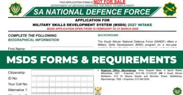 MSDS 2027 Intake Requirements