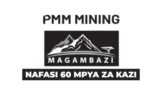 PMM Mining Company Ltd 60 Vacancies February 2026