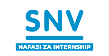 Procurement & Administrative Intern at SNV Tanzania 2026
