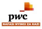 PwC Tanzania Vacancies 2026