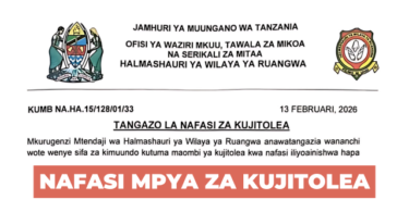 Ruangwa District Council Volunteer Vacancies February 2026