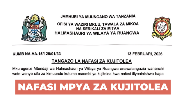 Ruangwa District Council Volunteer Vacancies February 2026