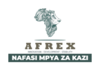 Sales Person Vacancy at Afrex Properties February 2026