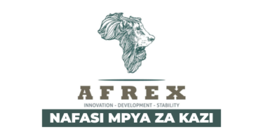 Sales Person Vacancy at Afrex Properties February 2026