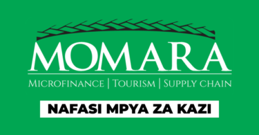 Sales and Marketing Executive Car Rental Services at Momara February 2026