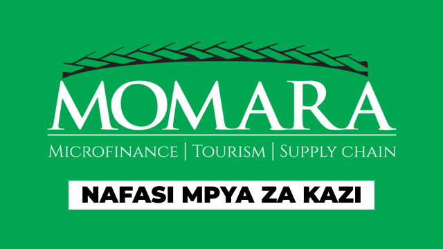 Sales and Marketing Executive Car Rental Services at Momara February 2026