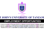 St John’s University of Tanzania SJUT Jobs February 2026