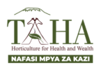 TAHA Chief Development Manager Vacancies 2026