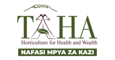 TAHA Chief Development Manager Vacancies 2026