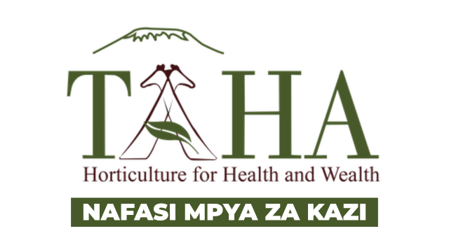TAHA Chief Development Manager Vacancies 2026