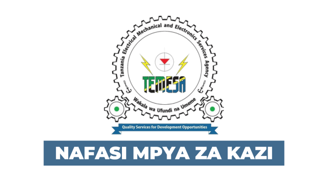 TEMESA Regional Manager (6 Posts) Apply Through Ajira Recruitment Portal