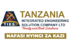 TIES Tanzania Multiple Technical Vacancies February 2026