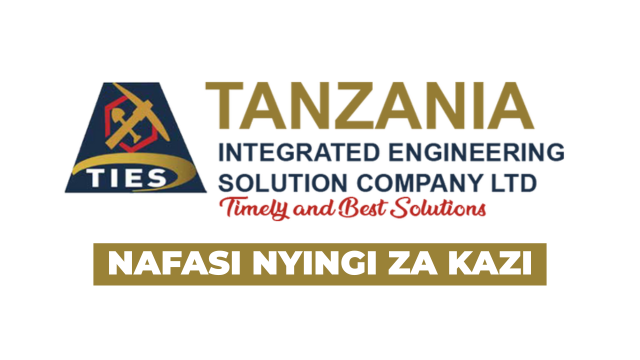 TIES Tanzania Multiple Technical Vacancies February 2026