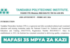 Tandabui Polytechnic Institute 35 Vacancies February 2026
