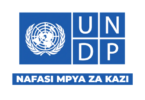 UNDP Tanzania Vacancies 2026