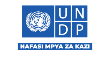 UNDP Tanzania Vacancies 2026