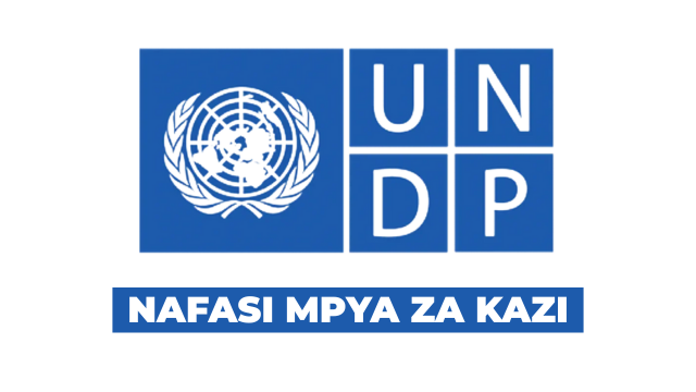 UNDP Tanzania Vacancies 2026