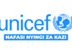 UNICEF Tanzania Vacancies 2026