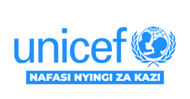 UNICEF Tanzania Vacancies 2026