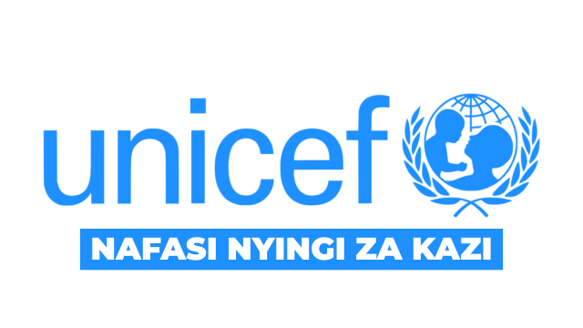UNICEF Tanzania Vacancies 2026