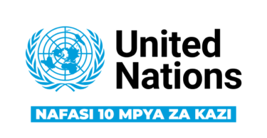 United Nations Tanzania Job Vacancies 10 Positions February 2026