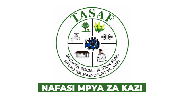 Director of Internal Audit Vacancy at TASAF March 2026