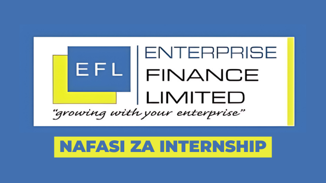 Enterprise Finance Limited Intern March 2026
