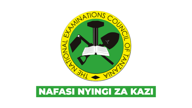 Examinations Officer II – Specialized Subjects at NECTA