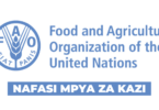 FAO Tanzania Vacancies 2026