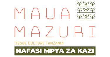 Field Credit & Collections Officer Vacancies at Maua Mazuri