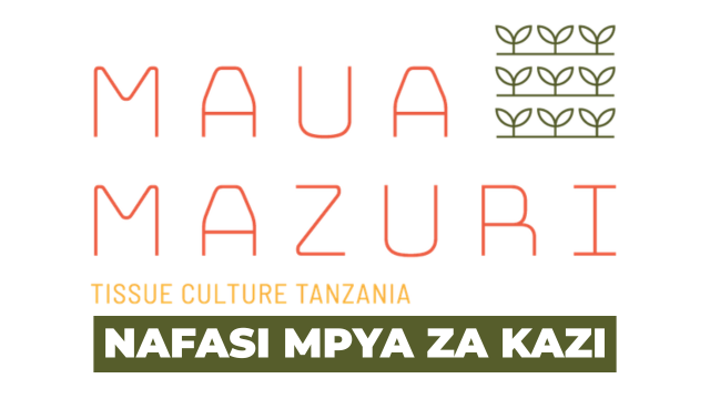 Field Credit & Collections Officer Vacancies at Maua Mazuri