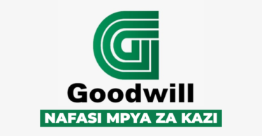 Goodwill (Tanzania) Ceramics Co Ltd (3 Positions) April 2026