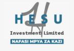 Hesu Investment Ltd Vacancies March 2026