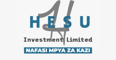 Hesu Investment Ltd Vacancies March 2026