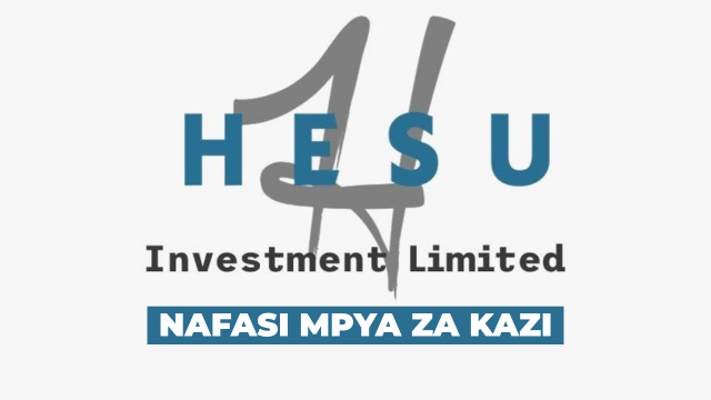 Hesu Investment Ltd Vacancies March 2026