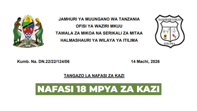 Itilima District Council 18 Vacancies March 2026