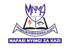 MNMA Assistant Lecturer Vacancies April 2026