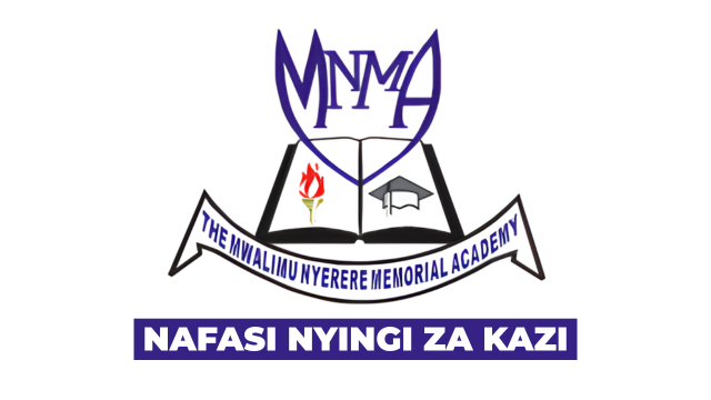 MNMA Assistant Lecturer Vacancies April 2026