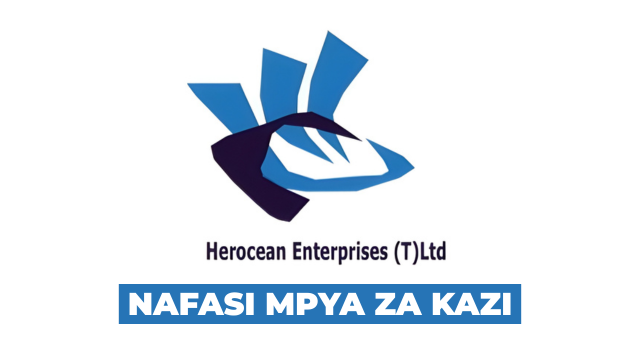 Personal Assistant at Herocean Entreprises (T) LTD March 2026