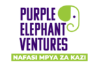 Purple Elephant Ventures Vacancies March 2026