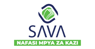 Sava-Tech Financial Services Vacancies March 2026