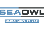 SeaOwl Group Tanzania Vacancies 2026
