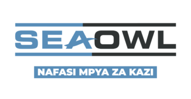 SeaOwl Group Tanzania Vacancies 2026